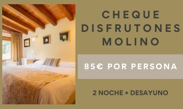 Cheque Disfrutones Molino